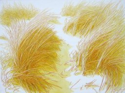 Sunny Gardens XVI 90x120 cm